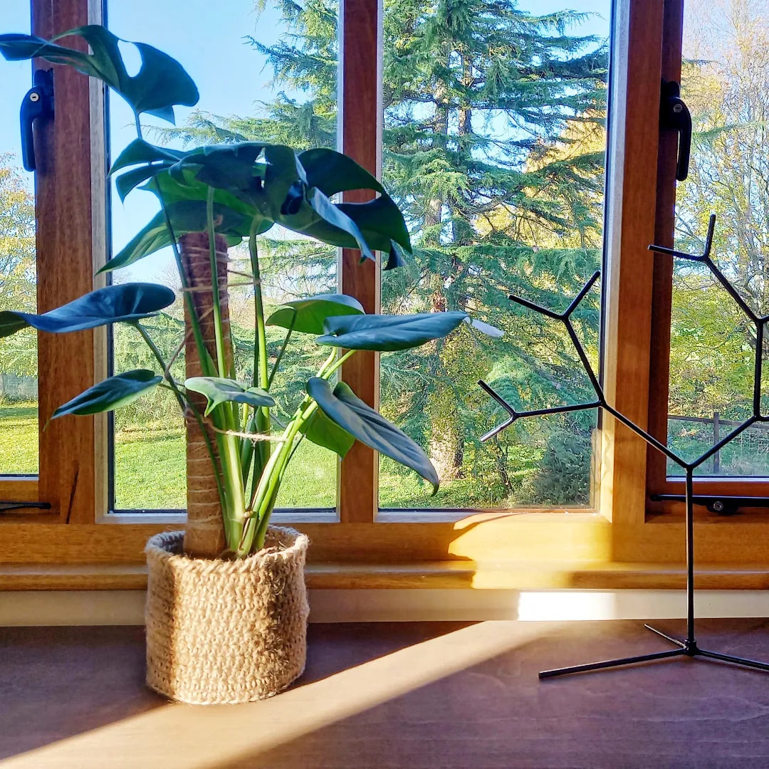 Jute Plant Pot Cover