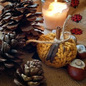 Annarella - Mini pumpkin, mustard, autumn accessory handmade in East Anglia, in the UK