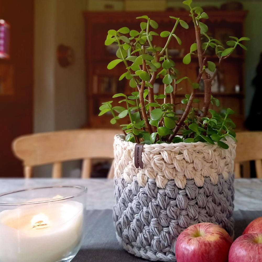 Beans Basket crocheted by Annarella - used here as a plant pot cover