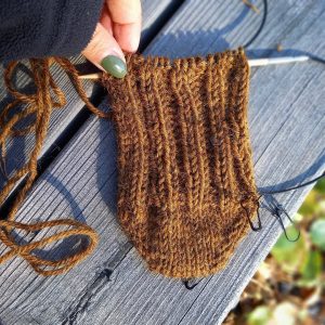 Bear Paw socks